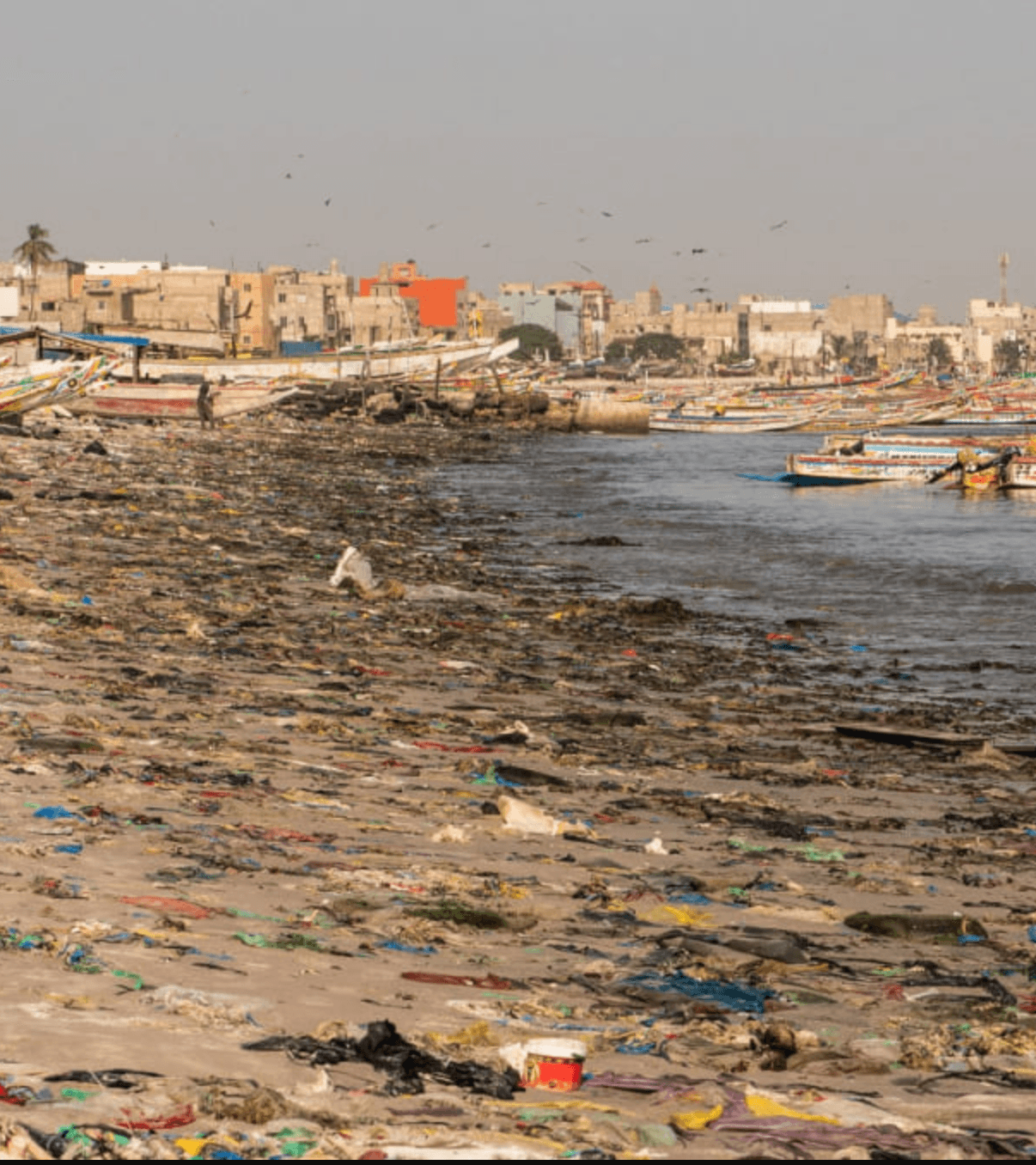 Screenshot 2026-03-23 alle 11.06.05.png